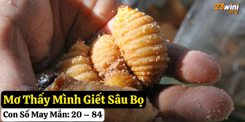 mơ thấy sâu bọ