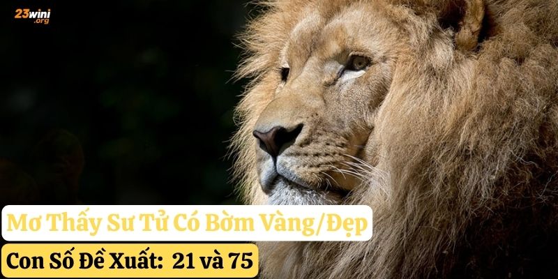 mơ thấy sư tử 23win