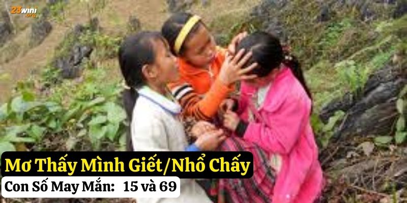 mơ thấy con chấy