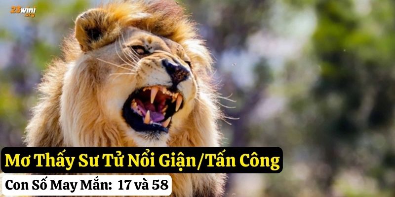 mơ thấy sư tử