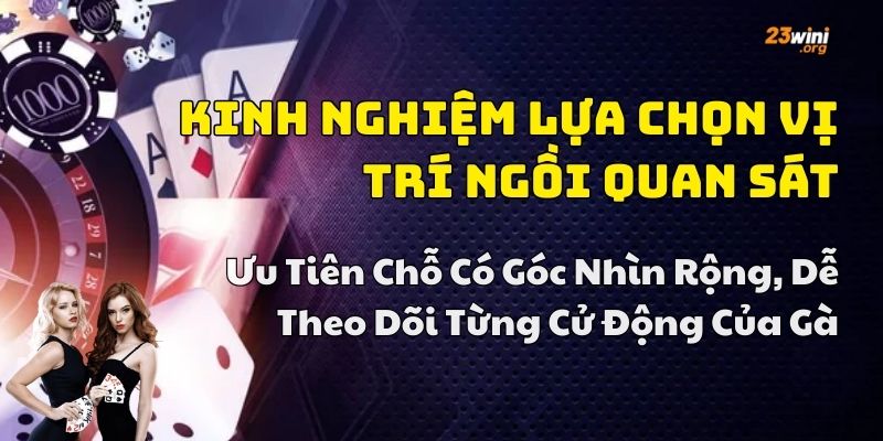 kinh nghiệm chơi đá gà