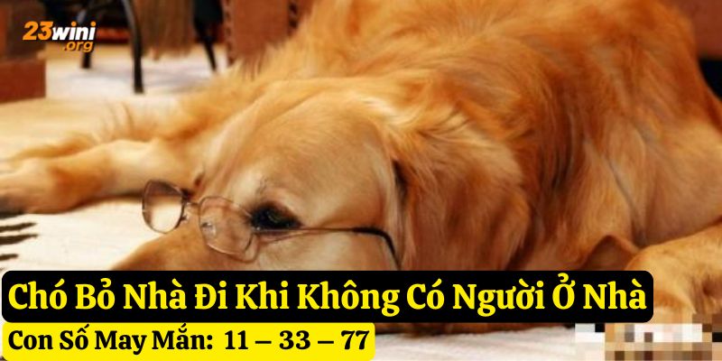 thấy chó bỏ nhà đi