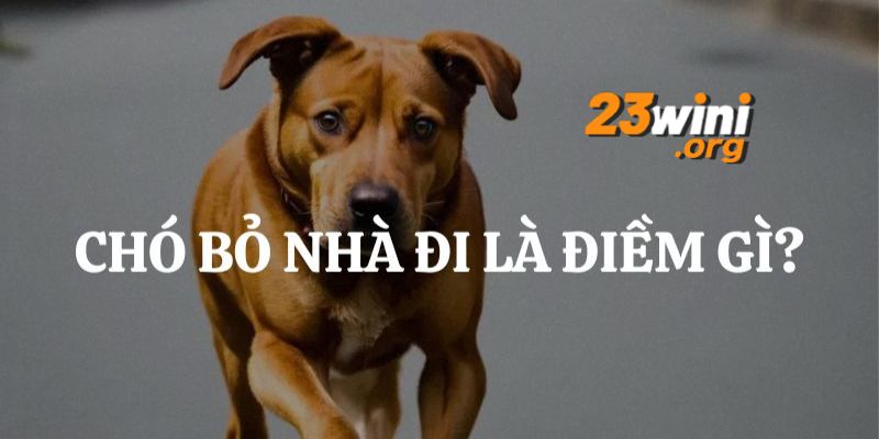 chó bỏ nhà đi 23win thumb