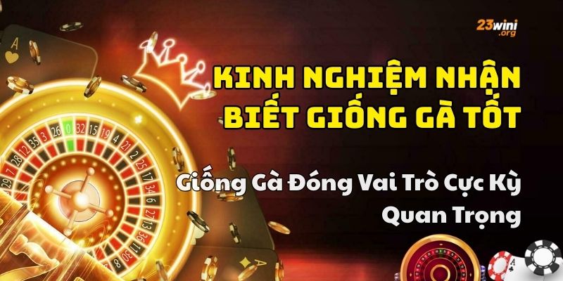 kinh nghiệm chơi đá gà hay