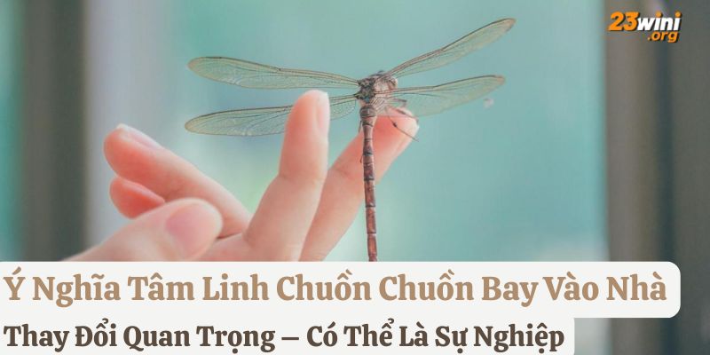 thấy chuồn chuồn bay vào nhà