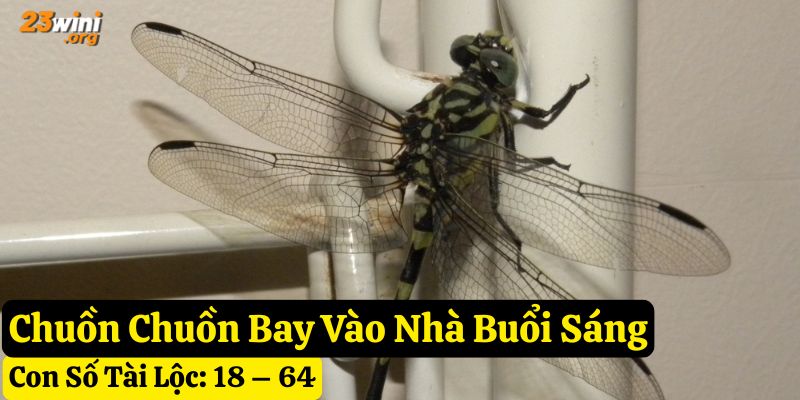 thấy chuồn chuồn vào nhà