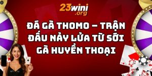 đá gà thomo 23win thumb
