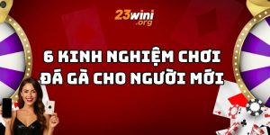 kinh nghiệm chơi đá gà 23win thumb
