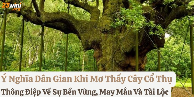 mơ thấy cây cổ thụ