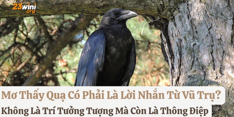 nằm mơ thấy quạ