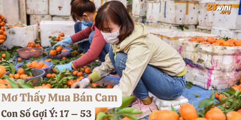 nằm mơ thấy quả cam