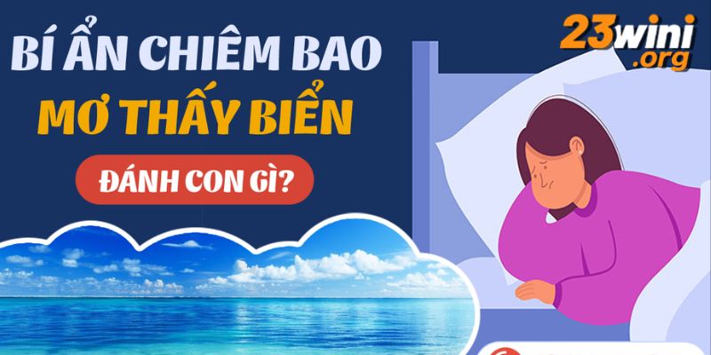 mơ thấy biển đánh số gì 23win thumb