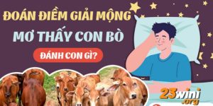 mơ thấy bò hb88 thumb