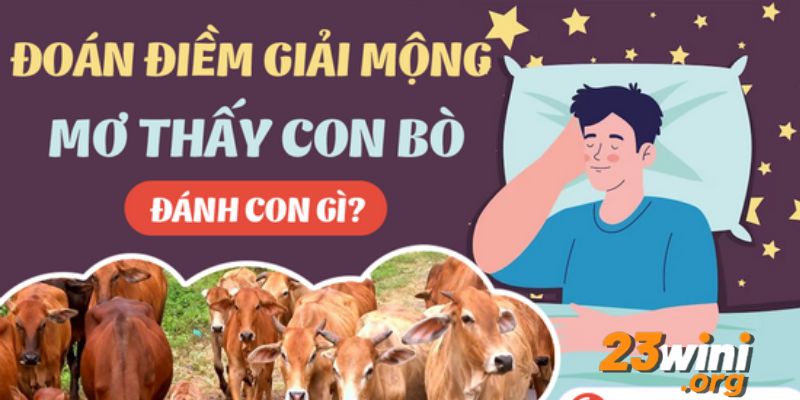 mơ thấy bò hb88 thumb