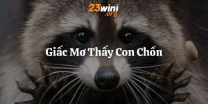 mơ thấy con chồn 23win thumb