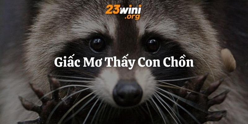 mơ thấy con chồn 23win thumb