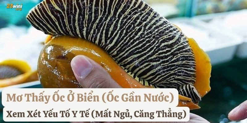 nằm mơ thấy ốc