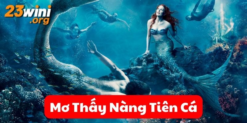 mơ thấy nàng tiên cá 23win thumb