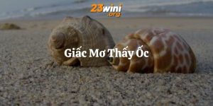mơ thấy ốc 23win thumb