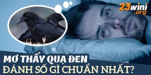 mơ thấy quạ 23win thumb