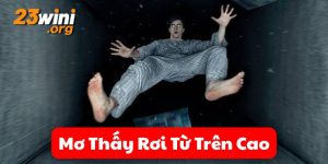 mơ thấy rơi từ trên cao 23win thumb