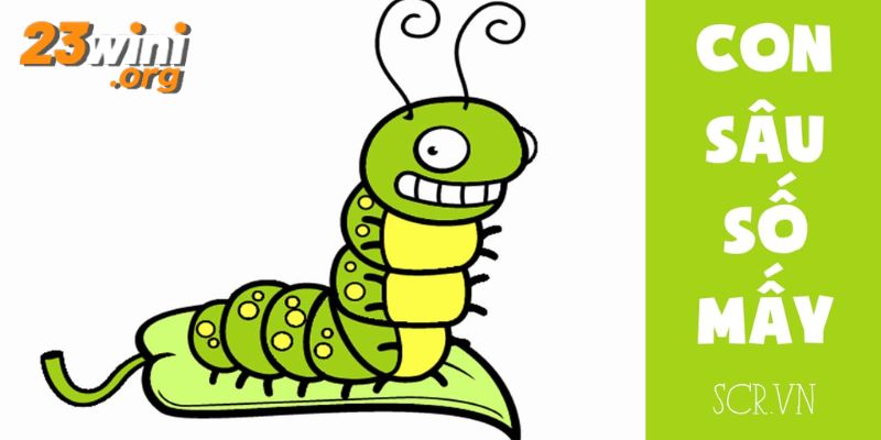 mơ thấy sâu bọ hb88 thumb