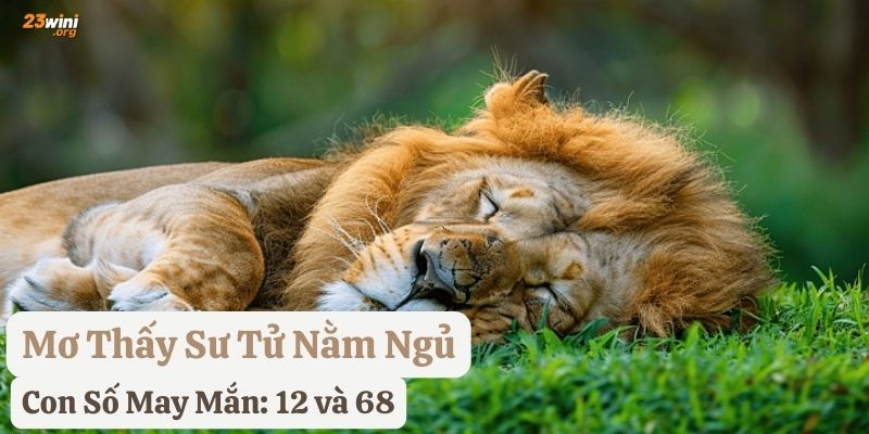 nằm mơ thấy sư tử