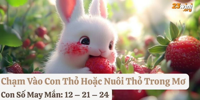 nằm mơ thấy con thỏ