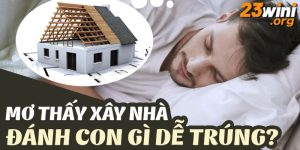 mơ thấy xây nhà 23win thumb