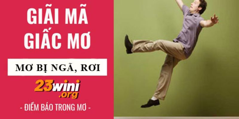 nằm mơ thấy bị ngã 23win thumb