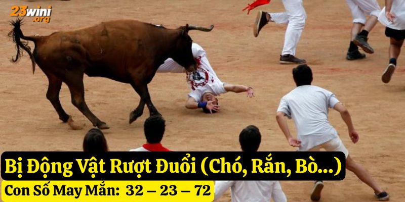 mơ thấy bị rượt đuổi 23win