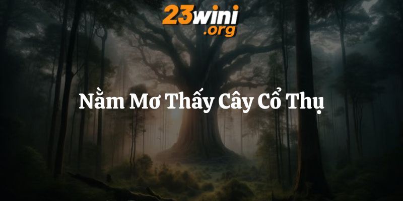 nằm mơ thấy cây cổ thụ 23win thumb