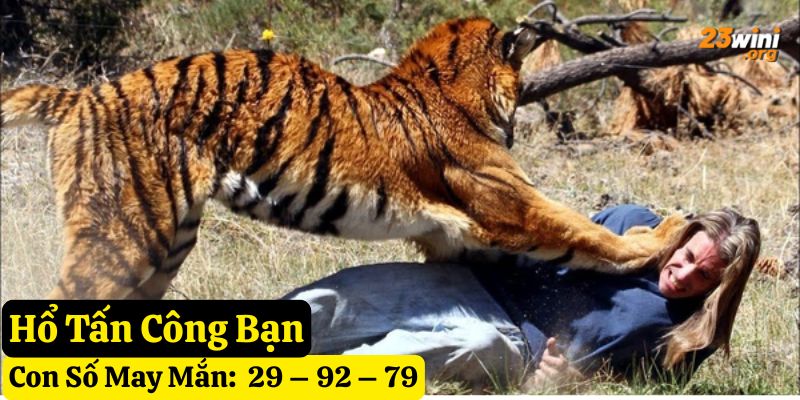 giấc mơ thấy hổ