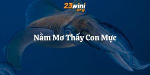 nằm mơ thấy con mực 23win thumb