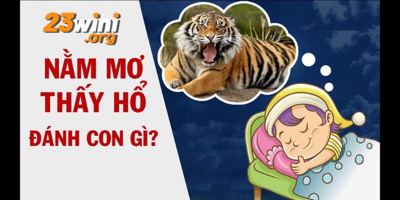 nằm mơ thấy hổ 23win thumb