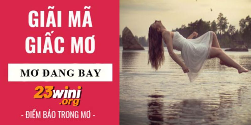 mơ thấy mình đang bay 23win thumb