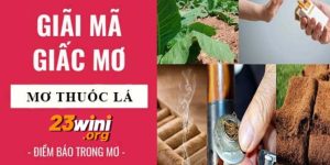 nằm mơ thấy thuốc lá 23win thumb