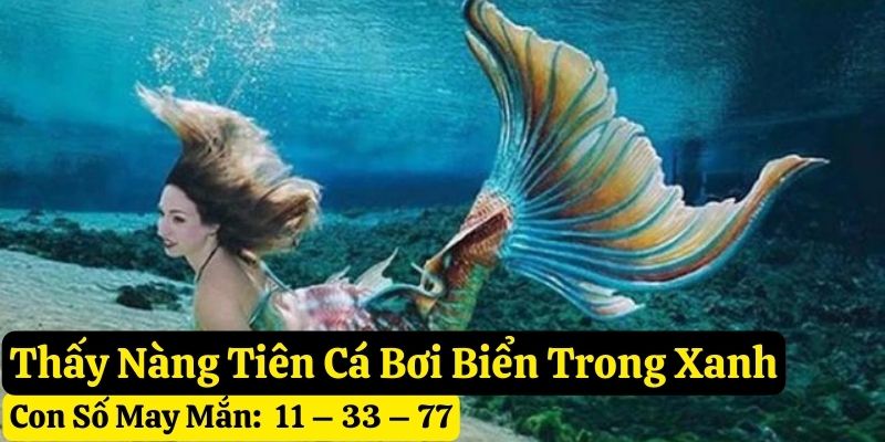 mơ nàng tiên cá
