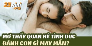 ngủ mơ làm chuyện ấy 23win thumb