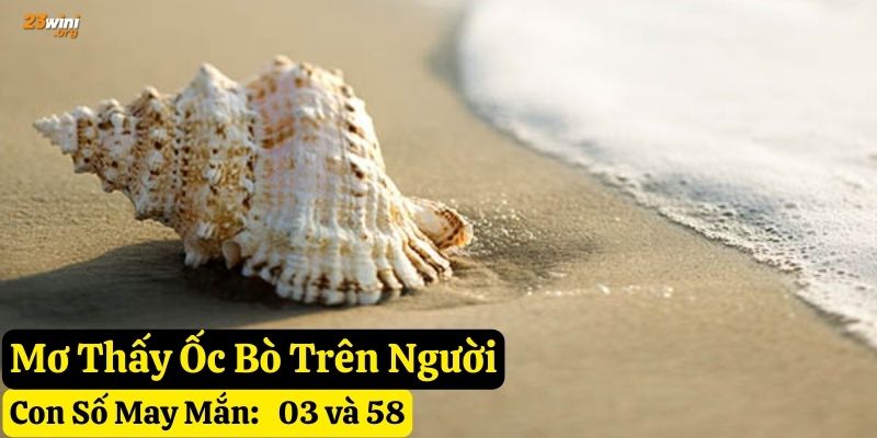nằm mơ thấy con ốc