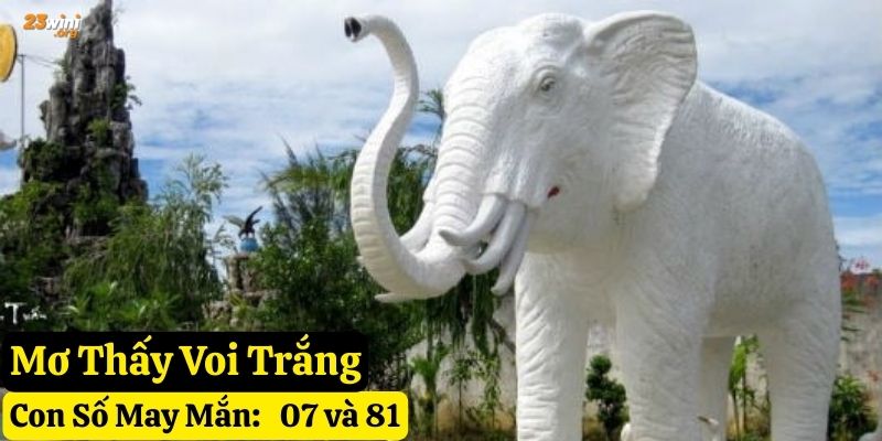 nằm mơ voi