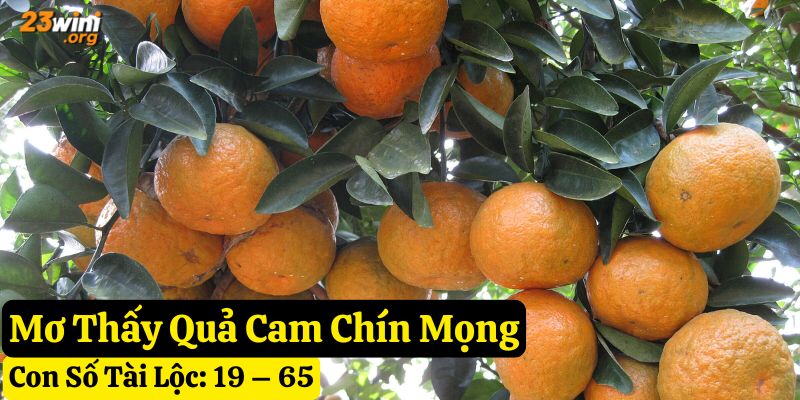nằm mơ quả cam