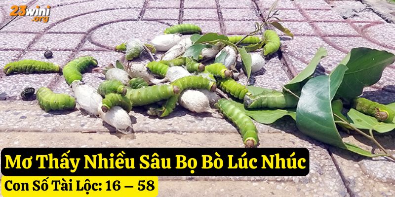 nằm mơ thấy sâu bọ