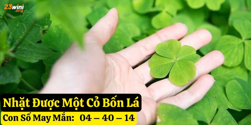 thấy nhặt được cỏ bốn lá